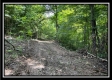 1088 Whetstone Rd property photo
