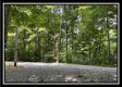 1088 Whetstone Rd property photo