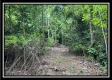 1088 Whetstone Rd property photo