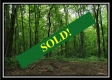 Tract 5 - Pedigo Ridge property photo