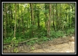 Tract 5 - Pedigo Ridge property photo