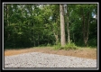 Tract 5 - Pedigo Ridge property photo