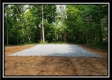 More of Tract 5 - Pedigo Ridge