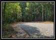 Tract 5 - Pedigo Ridge property photo