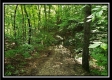 Tract 5 - Pedigo Ridge property photo