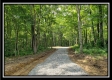 Tract 5 - Pedigo Ridge property photo