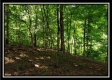 Tract 5 - Pedigo Ridge property photo