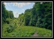 Tract 5 - Pedigo Ridge property photo