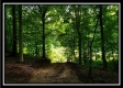 Tract 5 - Pedigo Ridge property photo