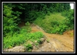 Tract 5 - Pedigo Ridge property photo