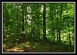 Tract 5 - Pedigo Ridge property photo