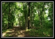 Tract 5 - Pedigo Ridge property photo
