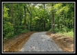 Tract 5 - Pedigo Ridge property photo