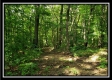 Tract 5 - Pedigo Ridge property photo