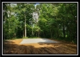More of Tract 5 - Pedigo Ridge