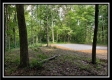 Tract 5 - Pedigo Ridge property photo