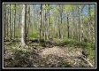 Tract 4 - Sunfish Creek property photo
