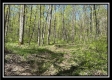 Tract 4 - Sunfish Creek property photo