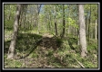Tract 4 - Sunfish Creek property photo