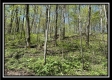 Tract 4 - Sunfish Creek property photo