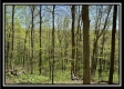 Tract 4 - Sunfish Creek property photo