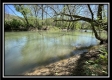 More of Tract 4 - Sunfish Creek