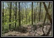 Tract 4 - Sunfish Creek property photo