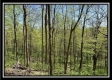 Tract 4 - Sunfish Creek property photo