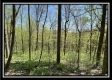 Tract 4 - Sunfish Creek property photo