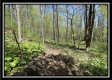 Tract 4 - Sunfish Creek property photo