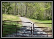 Tract 4 - Sunfish Creek property photo