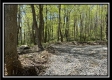 Tract 4 - Sunfish Creek property photo