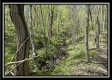 Tract 4 - Sunfish Creek property photo