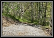 Tract 4 - Sunfish Creek property photo