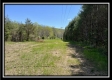 Tract 4 - Sunfish Creek property photo