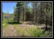 Tract 4 - Sunfish Creek property photo