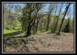 Tract 4 - Sunfish Creek property photo
