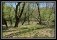 Tract 4 - Sunfish Creek property photo