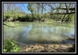 Tract 4 - Sunfish Creek property photo