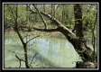 Tract 4 - Sunfish Creek property photo