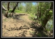 Tract 4 - Sunfish Creek property photo