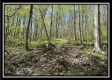 Tract 4 - Sunfish Creek property photo