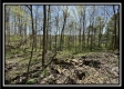 Tract 6 - Sunfish Creek property photo