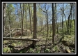 Tract 6 - Sunfish Creek property photo