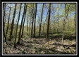 Tract 6 - Sunfish Creek property photo