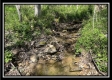 More of Tract 6 - Sunfish Creek