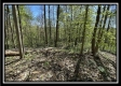 Tract 6 - Sunfish Creek property photo