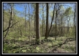 Tract 6 - Sunfish Creek property photo