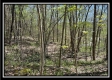 Tract 6 - Sunfish Creek property photo