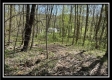 Tract 6 - Sunfish Creek property photo